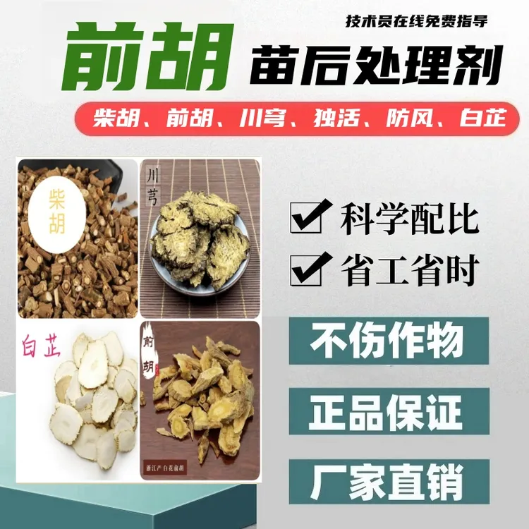 前胡苗后处理剂前胡专用苗后处理剂科学配比厂家直销正品不伤苗