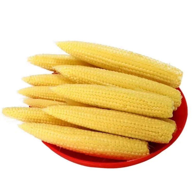 广西横州新鲜现摘小玉米笋嫩新鲜嫩玉米笋蔬菜食用批发包邮