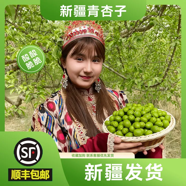 【新疆发顺丰】新疆新鲜青杏子包邮现摘现发采摘新疆应季水果硬核