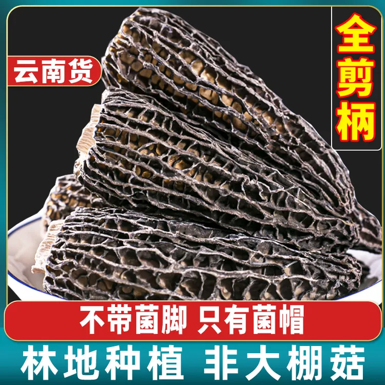 云南羊肚菌新货头茬 蘑菇菌干货煲汤料100g500g林地种植 非大棚菇