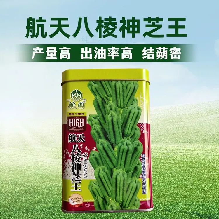 芝麻种子八棱白麻芝麻种子高杆高产结蒴密产量高八棱王芝麻种子商品图