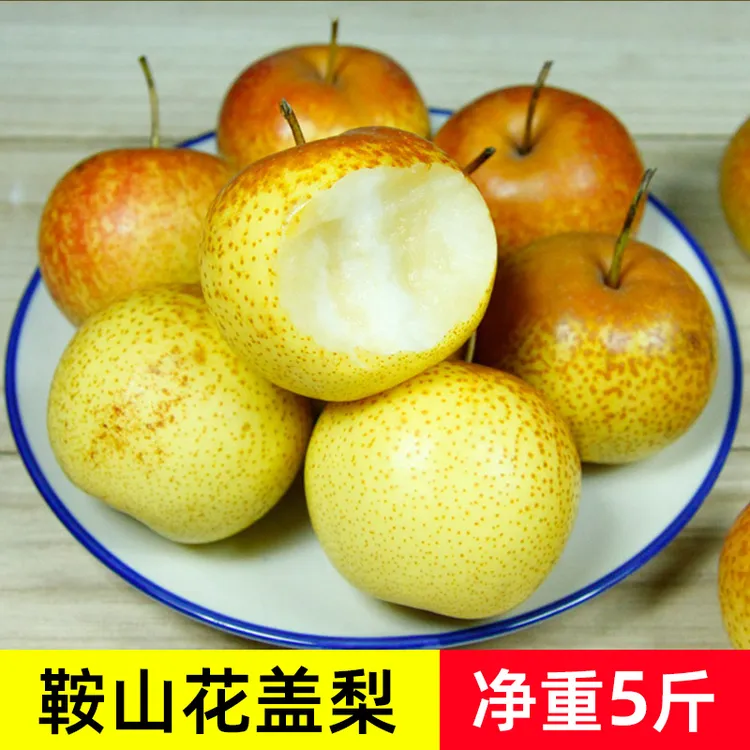 鞍山花盖梨5斤包邮正宗东北特产新鲜水果皮薄酸甜爽口多汁