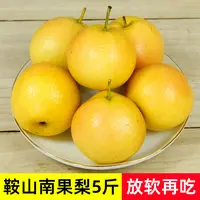 鞍山南果梨5斤中通包邮 放软再吃酒香味浓