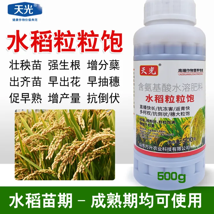 水稻粒粒饱叶面肥增产 高产水稻专用增产肥抗倒伏促分蘖籽粒饱满