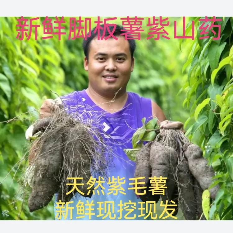 【顺丰包邮】赣南产地营养美味绿色健康紫薯脚板薯紫玉山药古天根