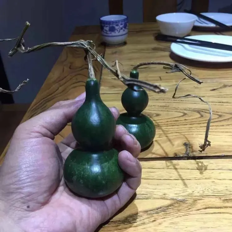墨绿葫手捻葫芦种子翠玉葫芦翡翠葫芦小葫芦迷你种籽四季盆栽阳台商品图