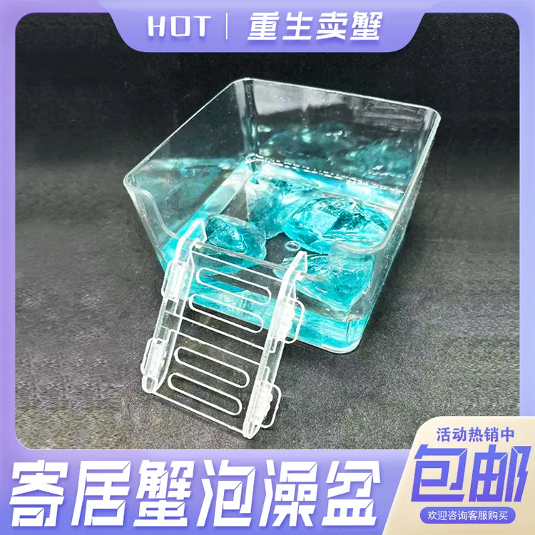 寄居蟹泡澡盆垫脚石防溺水盆爬宠相手蟹亚克力爬梯海水螃蟹用澡缸