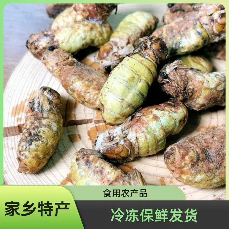 母蚕蛾纯公蚕蛾冷冻保鲜发货食用农产品家乡特产