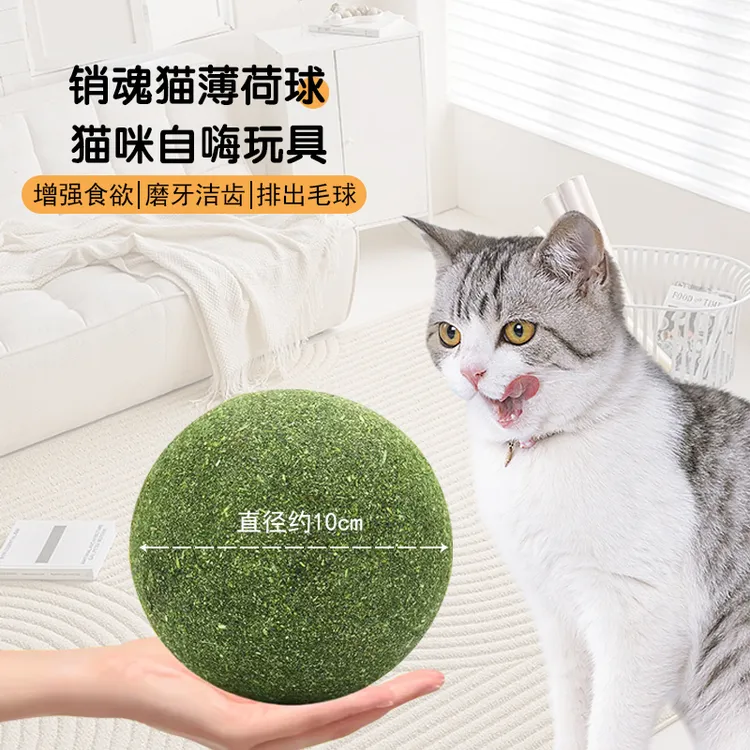 猫咪薄荷球猫咪用品天然薄荷洁齿磨牙去毛球解闷耐咬互动猫玩具