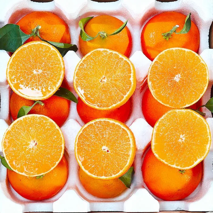 四川新鲜爱媛橙原产地果冻橙手剥橙子香甜多汁 5斤/8斤包邮包售后