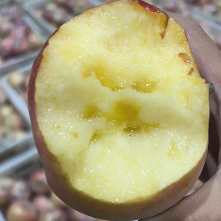 双杠果业（精品大果12个果带包装箱9斤）