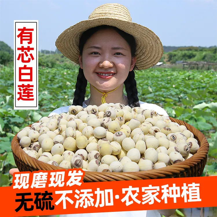 【带芯白莲500克】湘潭农家白莲子 新货现磨皮绿心煮粥煲汤干货特产