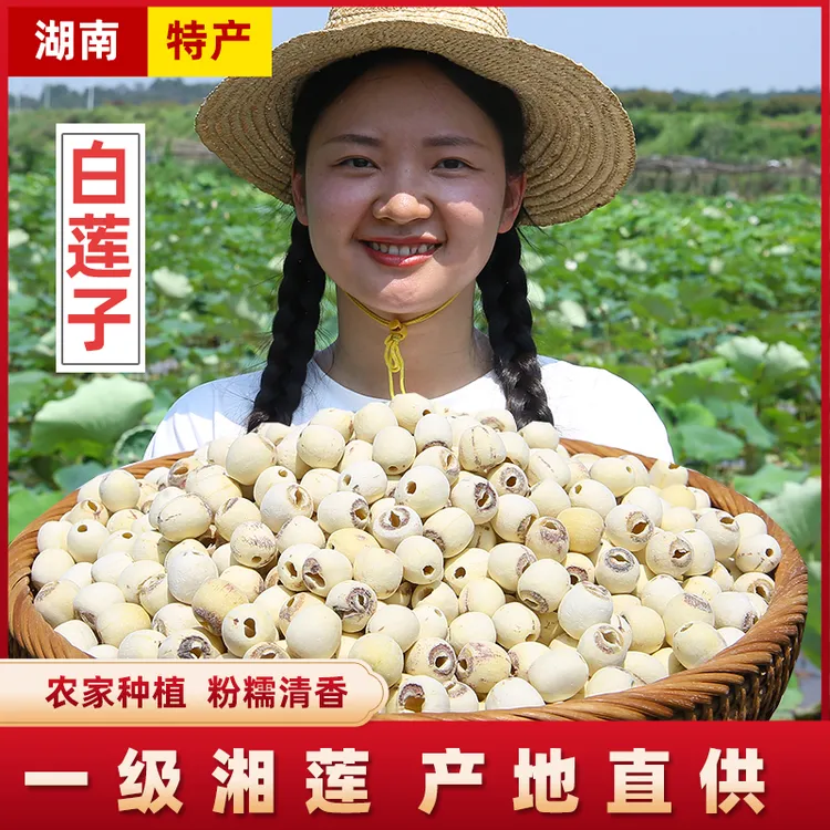 【精选去芯白莲】 湖南湘莲白莲子 新货农家非手工白莲磨皮粉糯煲汤