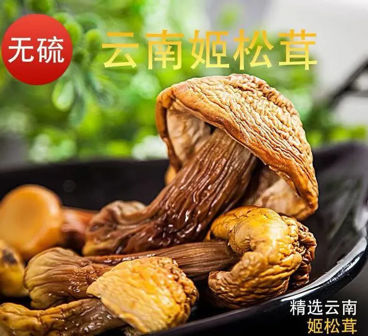 素素推荐[巴西菇]姬松茸菇帽菇脚云南特产食用炒菜炖汤松茸菇500g