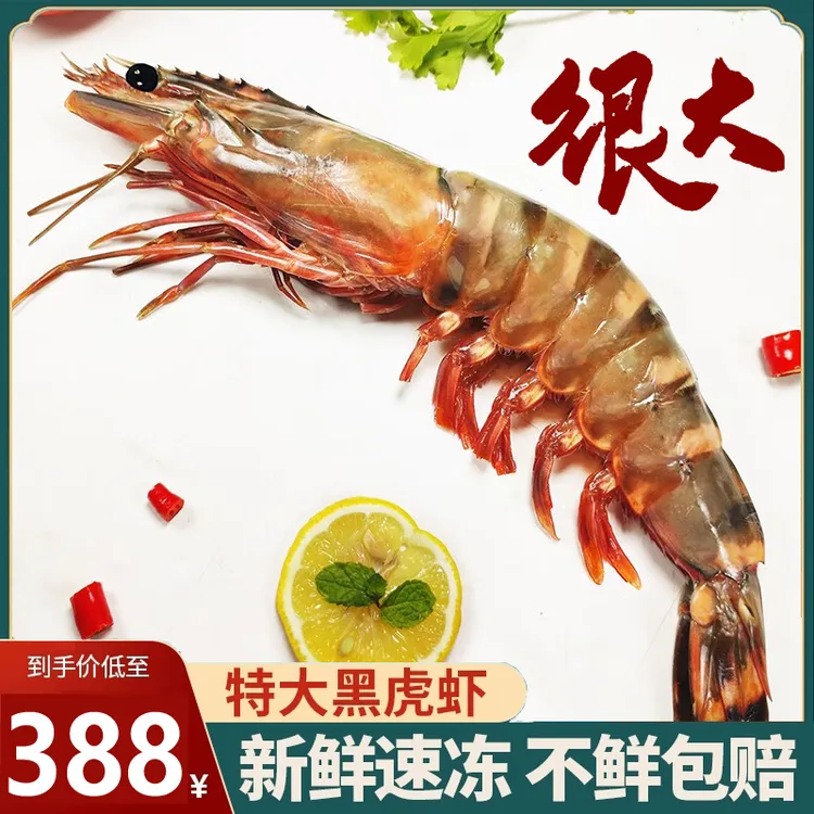 福建发货深海 大虎虾 虎虾海虾巨型黑虎虾大海虾海捕活冻大虾鲜冻