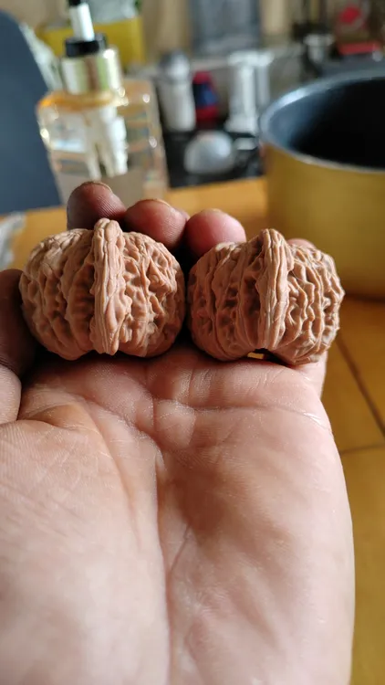 各种文玩核桃，一手货源