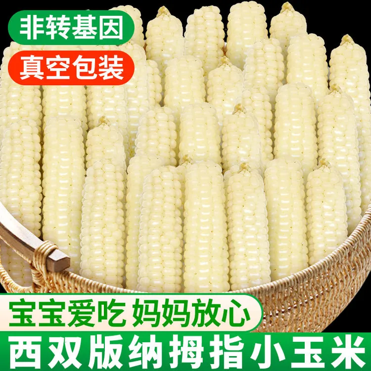云南西双版纳拇指玉米新鲜手指小玉米迷你现摘甜白糯宝宝孕妇玉米