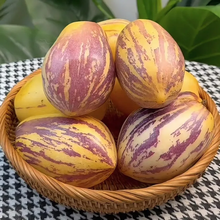 黄肉特大果现摘现发水果产地发货甘肃民勤正宗沙漠人参果清甜大果