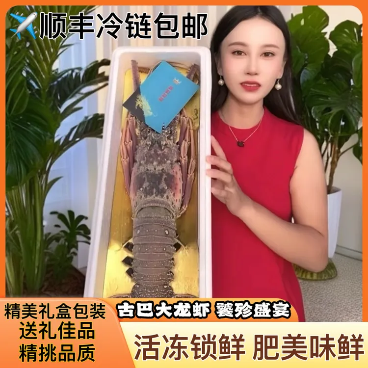 超大古巴龙虾鲜活大龙虾冷冻水产特大包邮中秋过年送礼海鲜礼盒