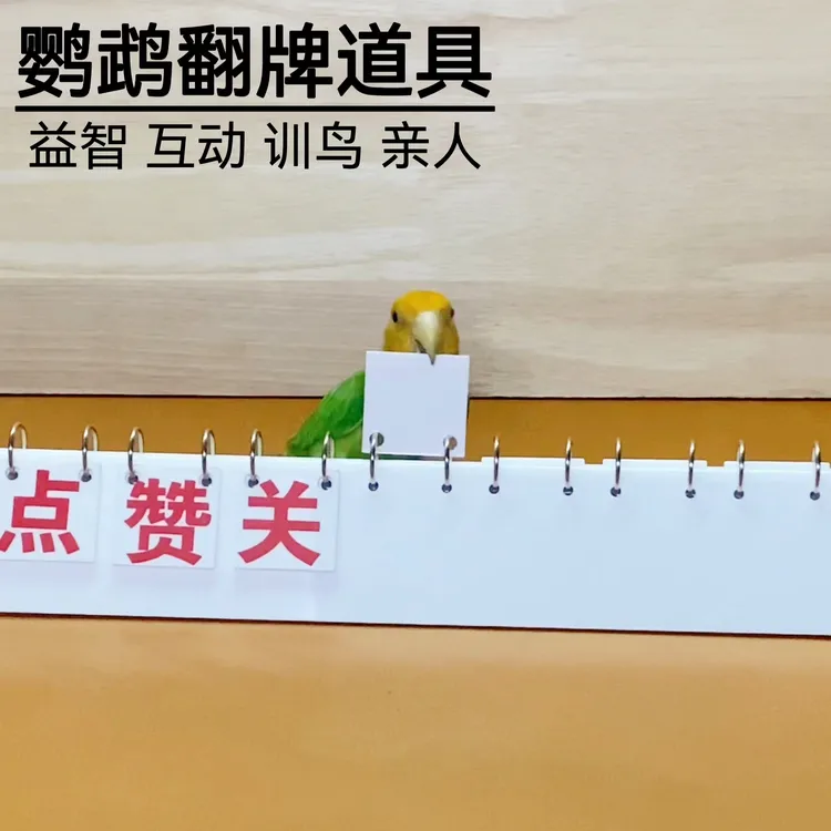 鹦鹉训鸟益智玩具训练技能翻牌道具互动亲人用品直播间互动吸粉