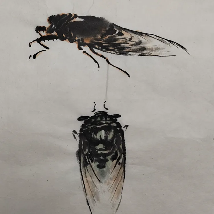 小写意21种草虫画法