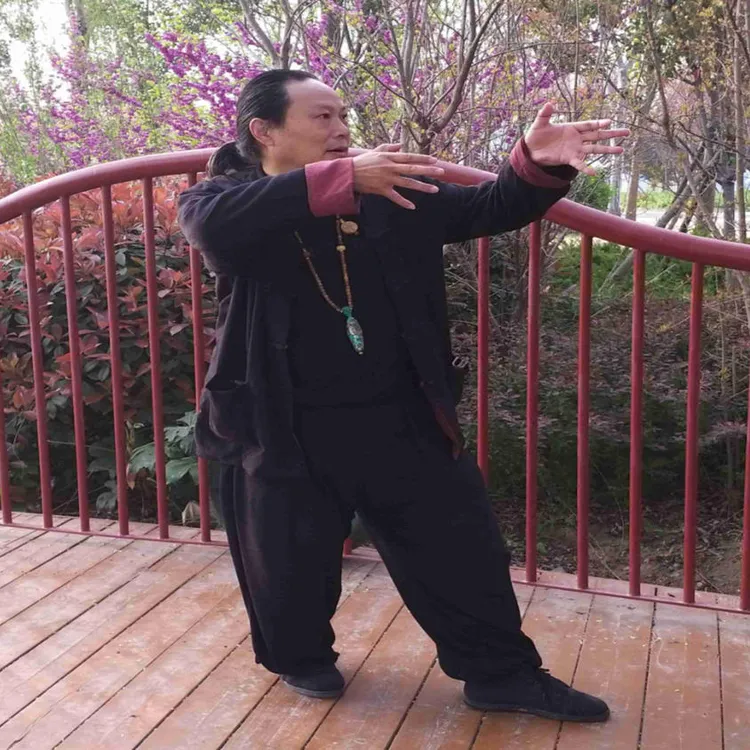 大成拳勾挂试力核心要点以及试力的重要性21