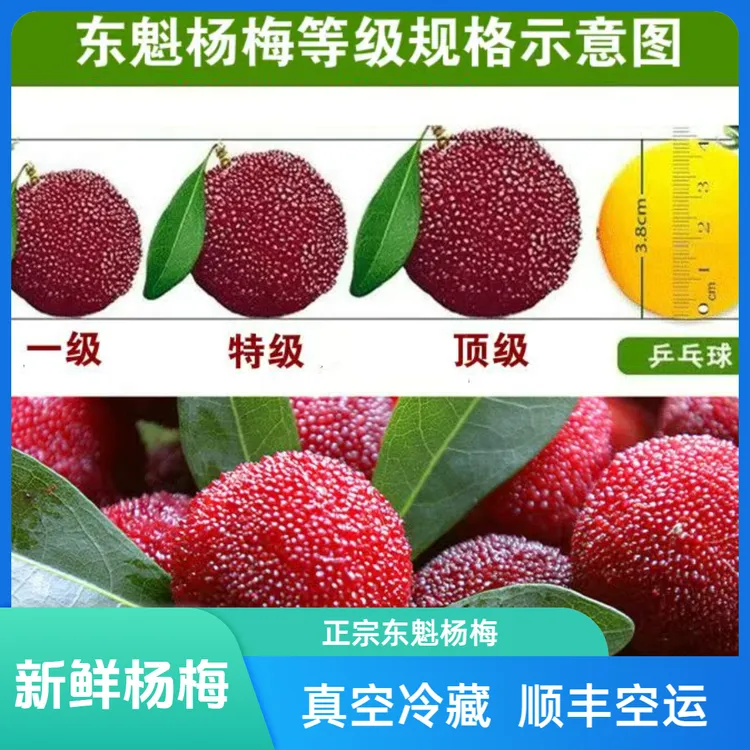 浙江临海（岩林）正宗东魁大甜新鲜杨梅仙居孕妇绿色水果包邮6斤