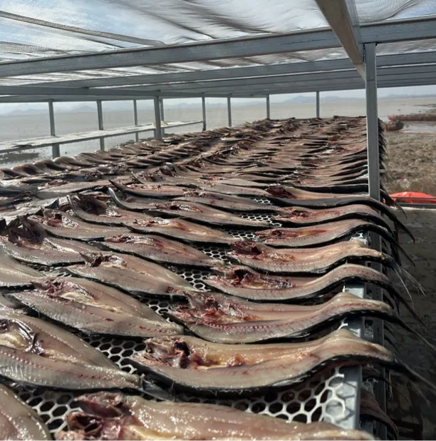 田横本地一卤鲜鲅鱼片京东发货