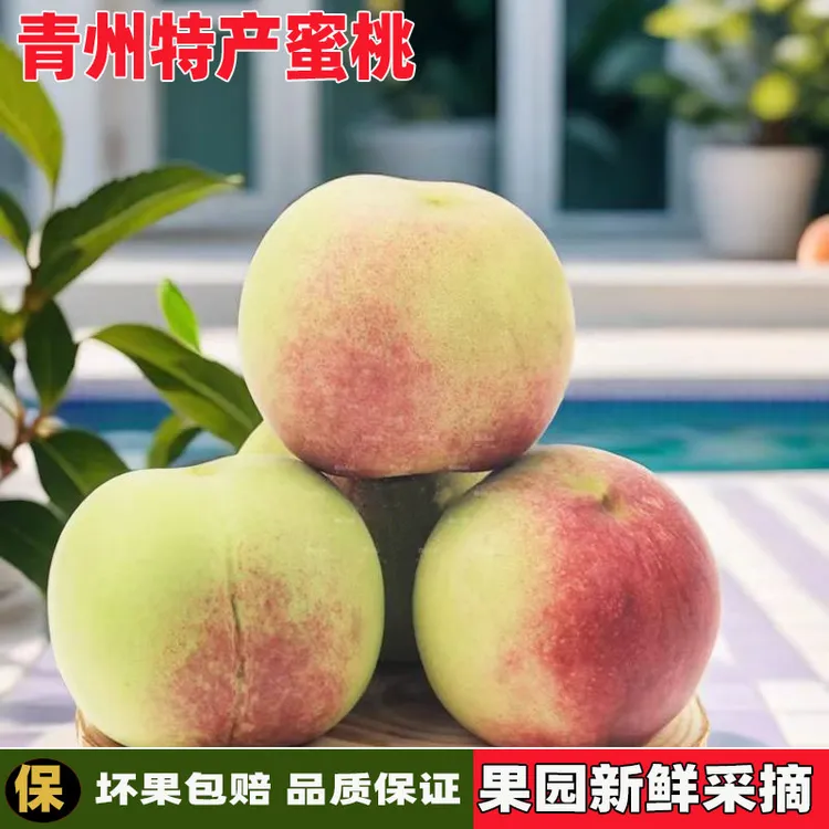 正宗青州蜜桃离核山桃毛桃脆桃甜新鲜水果整箱新鲜孕妇应季水果