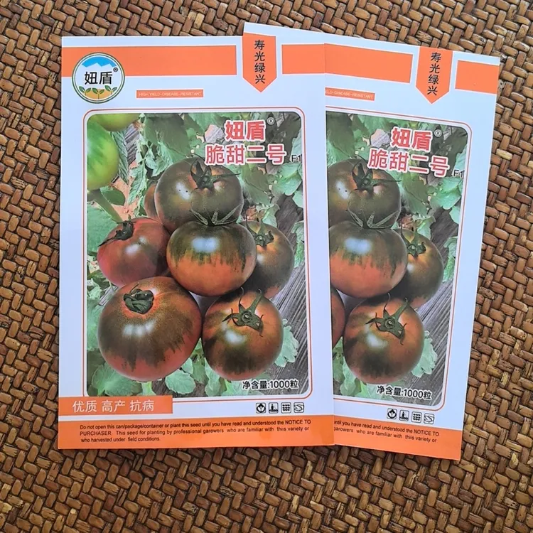 妞盾脆甜2号草莓番茄树番茄种子品质种籽发芽生长丰富收获种植