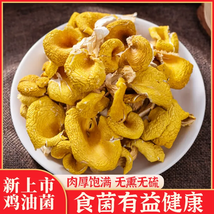 精品鸡油菌云南特产新鲜干货牛肝菌野蘑菇黄金菇鸡枞菌煲汤香50g