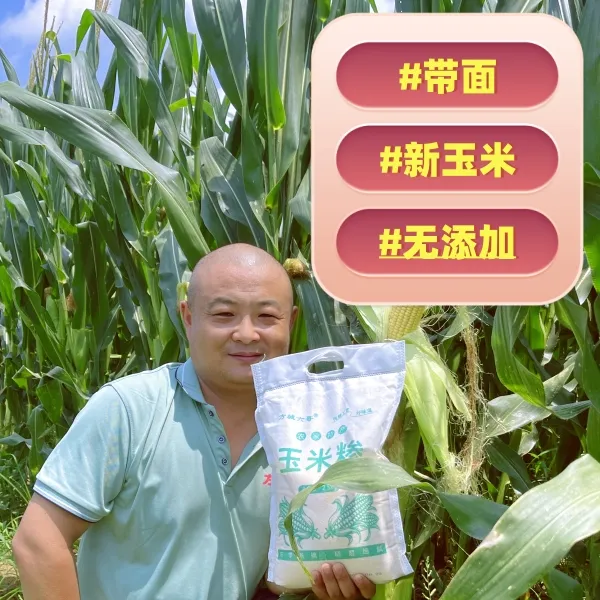 【六哥仓库直发】粗粮半糁半面新玉米糁早餐熬粥做玉米饼健康美味