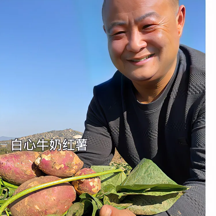 【农户好物】食用农产品牛奶白心红薯五斤包邮肉质软糯香甜美味健康