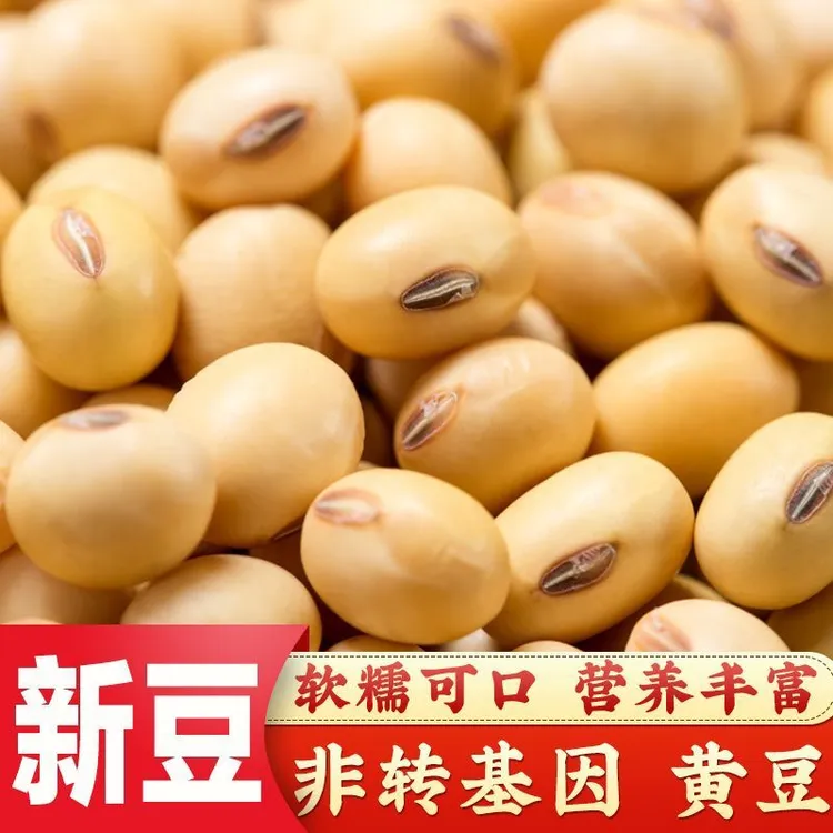 【热卖中】农家自种老品种黄豆非转基健康粮打豆浆做豆腐煮粥煲汤等
