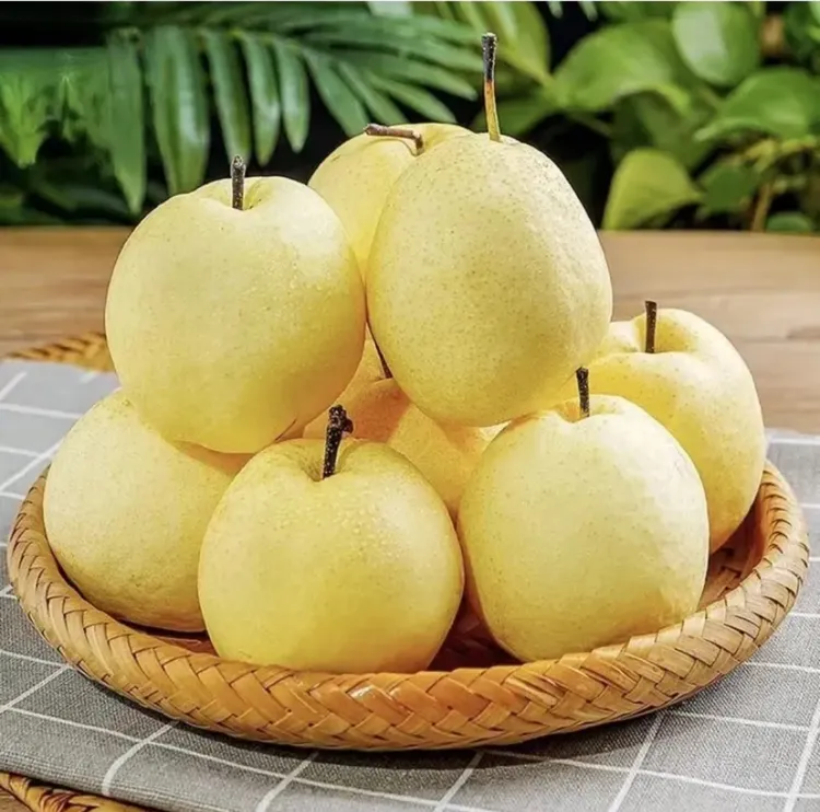 青青内专属山西酥梨当季新鲜水果酥脆多汁甘甜可口果园直发
