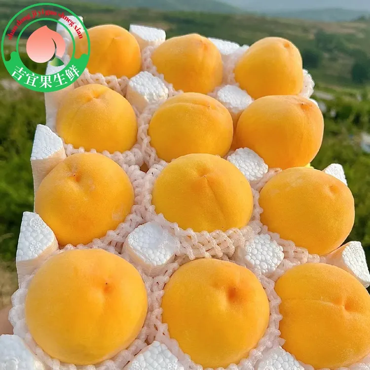 【蜜桃之乡】山东蒙阴黄桃当季热卖桃子新鲜水果水蜜桃脆甜锦绣黄桃