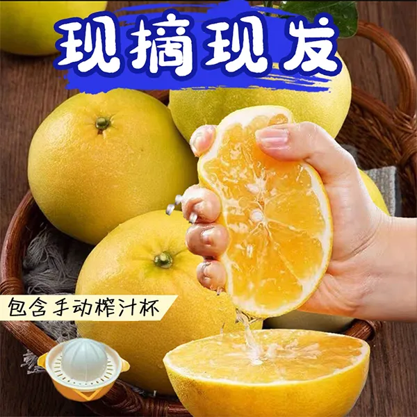 【大姐大小卖部】福建爆汁黄金葡萄柚当季水果清甜可口4.5斤彩箱T