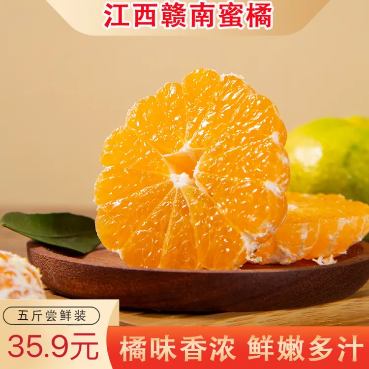 正宗江西赣南寻乌蜜橘新鲜现摘果园直发皮薄多汁酸甜可口5/10斤