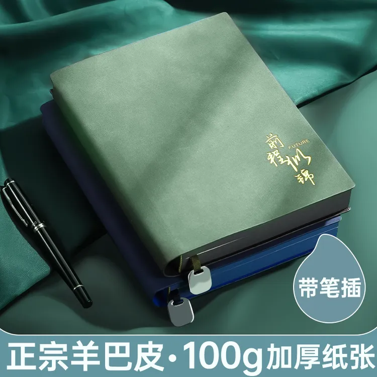 高颜值商务精致A5软皮带笔插复古办公会议记录本加厚羊巴皮本定制