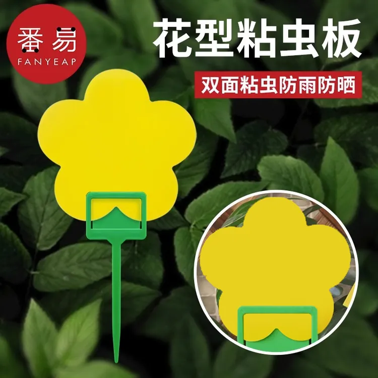 粘虫板B1pq402-小黄板粘虫板沾虫纸家用果蝇诱捕器小黑飞粘板