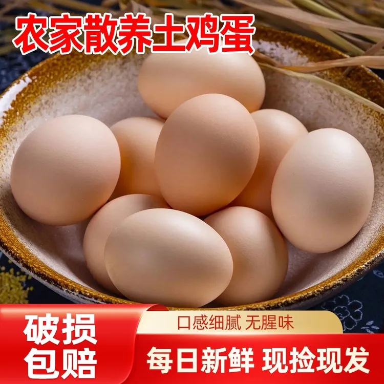 农家散养土鸡蛋笨鸡蛋营养新鲜柴草虫草养殖月子蛋农户土鸡蛋