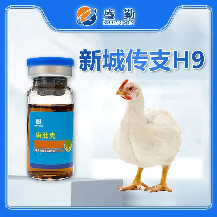【康肽克】禽用鸡鸭鹅饲料添加剂