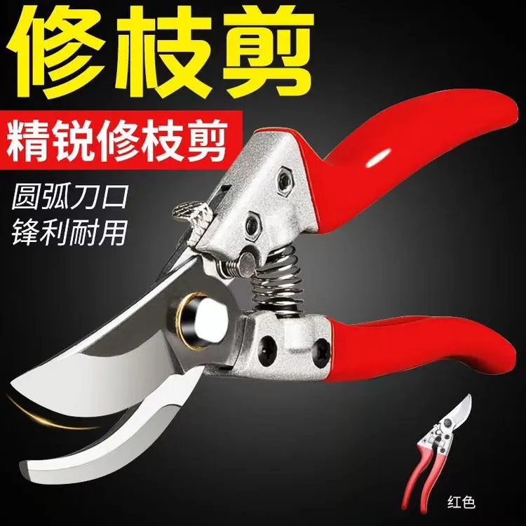 园艺剪刀果树修枝剪剪树枝专用剪刀德国进口工艺修剪枝花艺剪