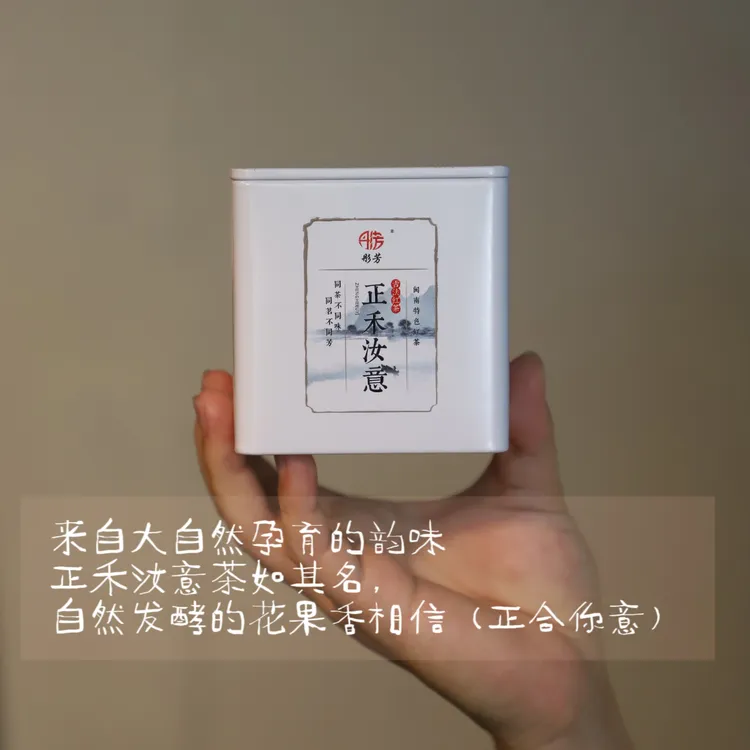 彤芳新茶2023正禾汝意古法红茶闽南特色红茶罐装70g蜜香花果香浓