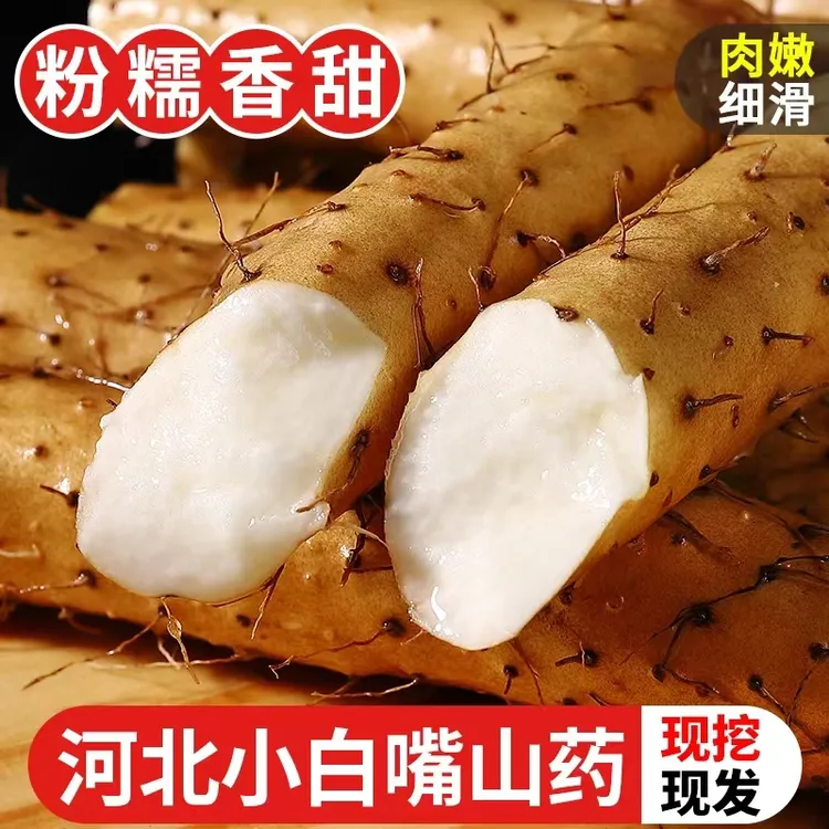 产地直发新鲜5斤河北小白嘴铁棍淮山药粉糯香甜垆土种植带土发货