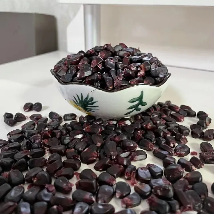 山东农家自种晒干老黑玉米粒打豆浆煮粥玉米糊2斤包邮