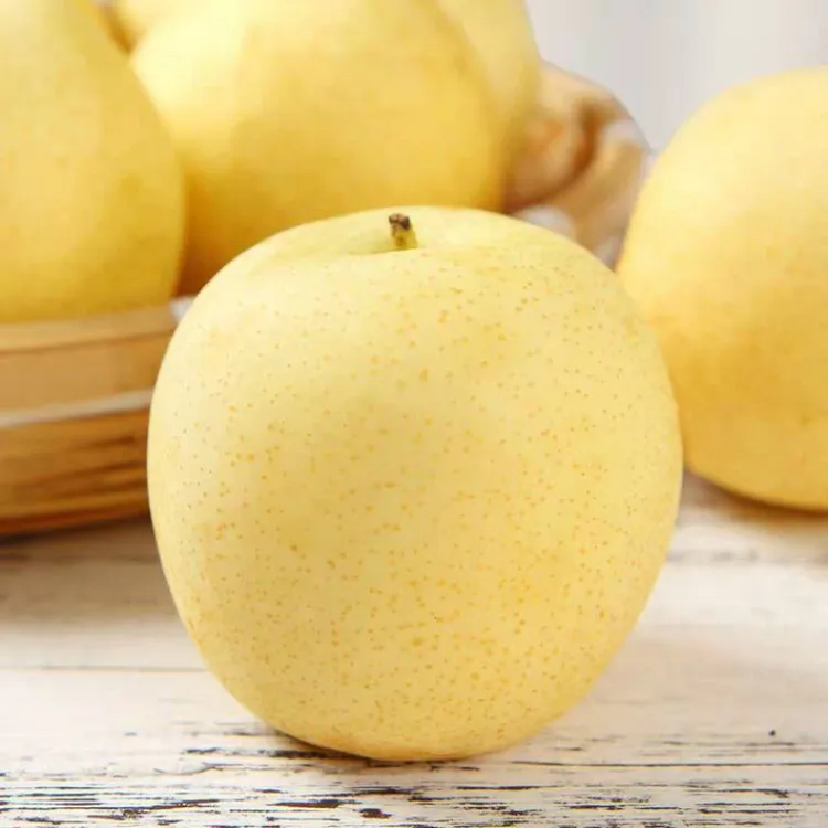 一级河北水果特产富硒砂糖梨原生态果园皇冠梨口感酸甜爽口新鲜梨