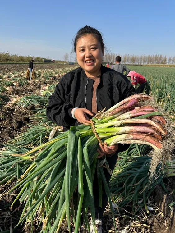 纯正东北大葱5斤 耐储存 能过冬 季冬储大葱到货黄叶正常介意勿拍