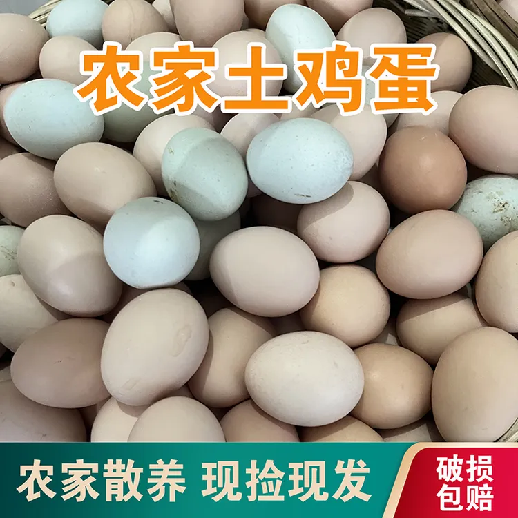 【老乡家混色土鸡蛋】湖北农家林间散养现捡现发彩壳鸡蛋40枚