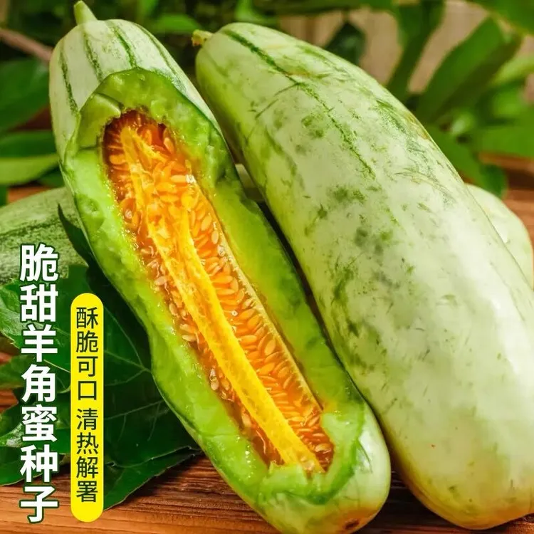 羊角脆种子甜脆羊角蜜清香甜瓜种籽四季种植阳台庭院种植简单易种